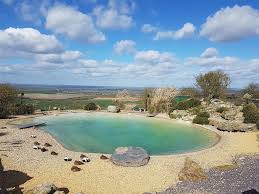 Image result for Dunstable