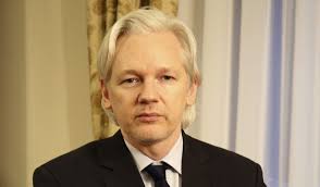Image result for julian assange