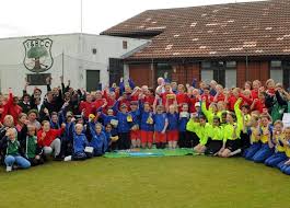 Image result for Fulwood & Broughton Cricket Club