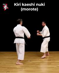 Image result for Durham University Shorinji Kempo Society Club