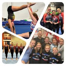 Image result for Asymmetrix Gymnastics Club