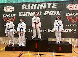 Image result for Ifield Shotokan Karate Club