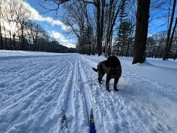 Image result for Midland Ski Club