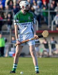 Image result for Sarsfields Hurling Club