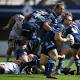 Montpellier : la fin programmée de la filière sud-africaine ? - Le Figaro Sport 1 - MontpelYeah Magazine
