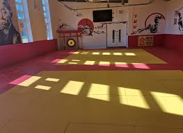 Image result for Aylwin Judo Club