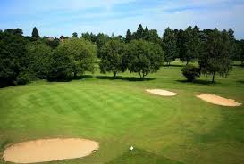 Image result for Downshire Golf Complex