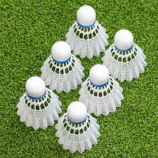 Image result for Shuttlecocks Badminton Club