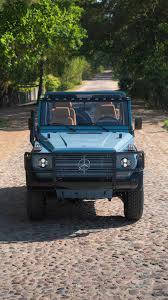 Image result for Fern Gray 1973 Jaguar