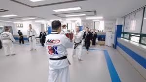 Image result for Chang's Hapkido Club