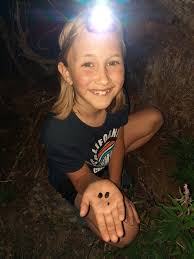 Attēlu rezultāti vaicājumam “Peltis grossa”