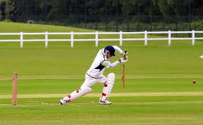 Image result for Yelverton Bohemians Cricket Club