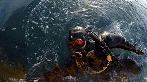 Image result for Maverick Divers