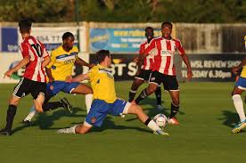 Image result for Staines Albion Fc