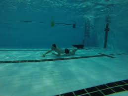 Image result for Jersey Octopush Club