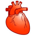 Cardiology, Heart icon | Icon Search Engine