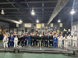 Image result for Revolution Dojo