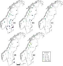Attēlu rezultāti vaicājumam “Distichium capillaceum sporophyte”
