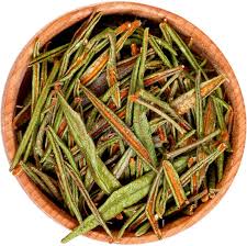 Attēlu rezultāti vaicājumam “Ledum palustre fruit”