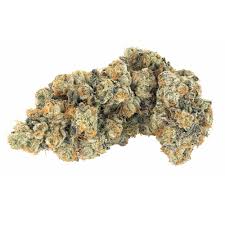 Image result for Frostabella ginsterfarmii