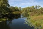 TRAIN TREKKING DEEP INTO THE HEART OF TIFFANY WILDLIFE AREA ...
