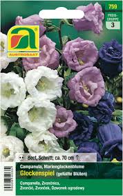 Image result for Marienglockenblumen