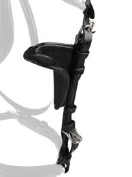 Image result for scheuklappen