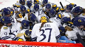 Image result for St Ives Hockey Club