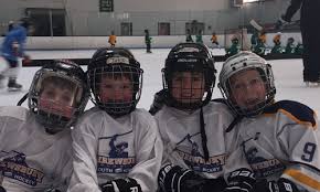 Image result for Shrewsbury Hockey Club