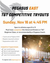 Image result for Pegasus Trampoline Club