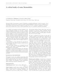 Attēlu rezultāti vaicājumam “Stemonitopsis amoena spores”