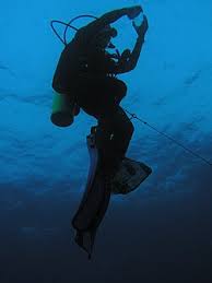 Image result for Blue Water Diving