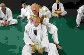 Image result for Norfolk Karate