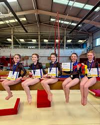 Image result for Forest Of Dean Gymnastics Club