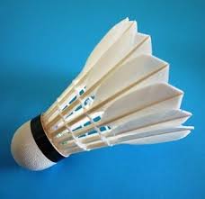 Image result for Manchester Feathers Badminton Club