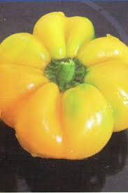 Afbeeldingsresultaat voor topepo giallo sweet pepper