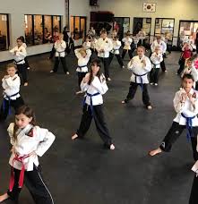 Image result for Apollo Martial Arts Academy