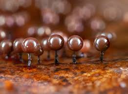 Attēlu rezultāti vaicājumam “Cribraria cancellata var. fusca stalked”