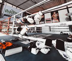 Image result for Muay Thai Clubs