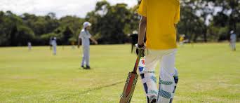 Image result for The Paddock Cricket Club