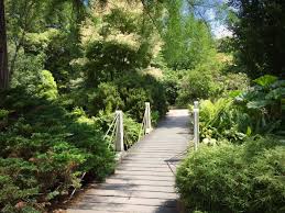 Image result for Arboretum Trompenburg