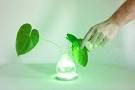 <b>Home</b>-Grown Modular <b>Interactive</b> Palnt Light <b>Design</b> by Viktor Kölbig <b>...</b>