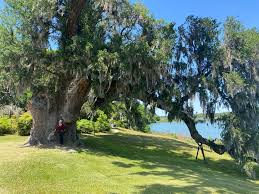 Image result for Middleton Sac