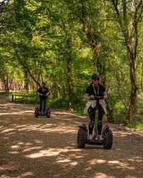 Image result for Go Ape! Moors Valley