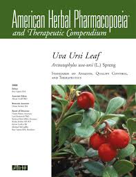 Attēlu rezultāti vaicājumam “Arctostaphylos uva-ursi leaf”
