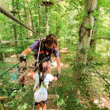 Image result for The Go Ape Experience (Swinley Forest)