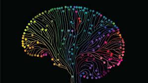 Image result for consciousness