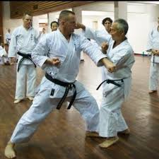 Image result for Seiki Juku Karate Organisation