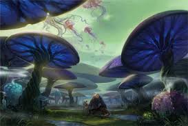 images?q=tbn:ANd9GcRbBWqVs9Vlkuj-XKbYv2fRHhnguXzH69edZioc2rCNrR62-BYbwA