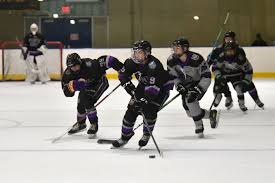 Image result for Sheffield Wildcats Rink Hockey and Roller Skating Club